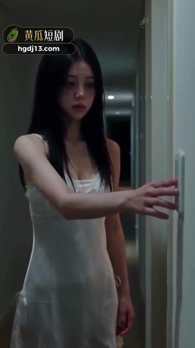 淫夢特工