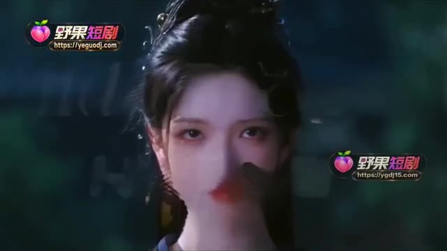 動態預覽